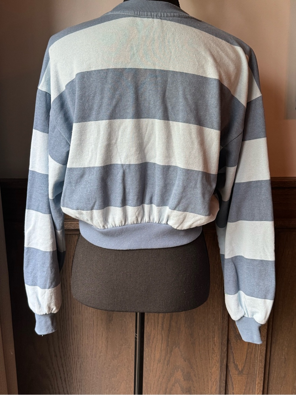Strawberry Shortcake Blue Stripe Cropped Sweater xxs - Picture 4 of 7